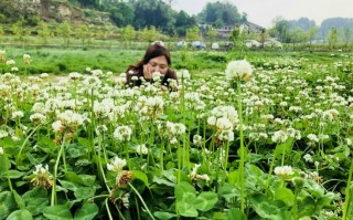 重生村姑不养白眼狼，野花香里杀疯了