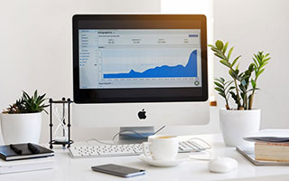 乡村桃运小傻医的傻医传奇与桃花运